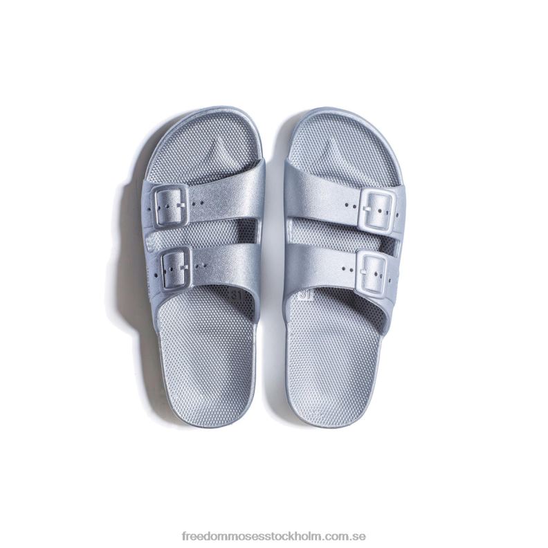 silverado 22JP676 Freedom Moses