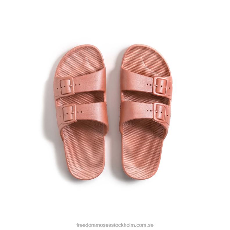 terra 22JP671 Freedom Moses