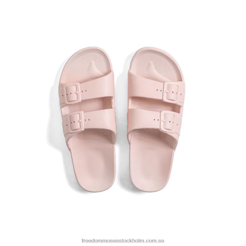 rosa 22JP62 Freedom Moses blek rosa