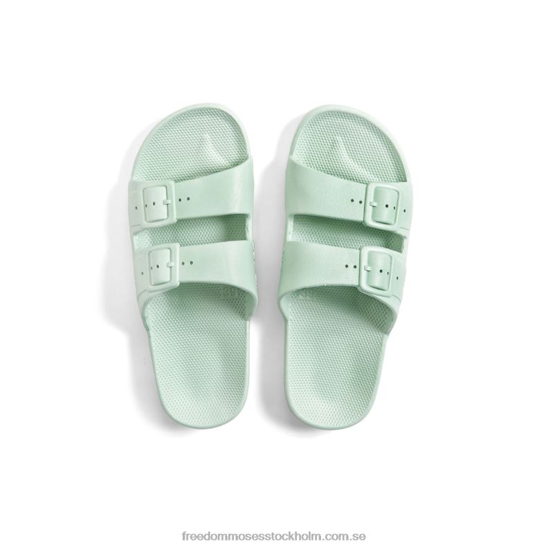 salvia 22JP68 Freedom Moses ljus salvia grön