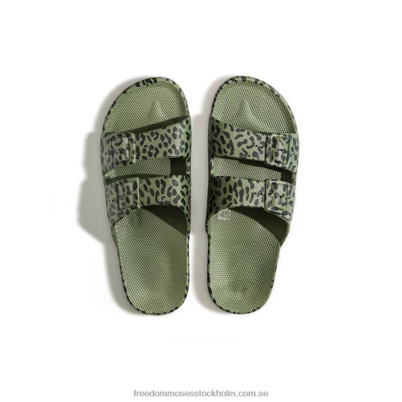 leo kaktus 22JP624 Freedom Moses leopardfläckar