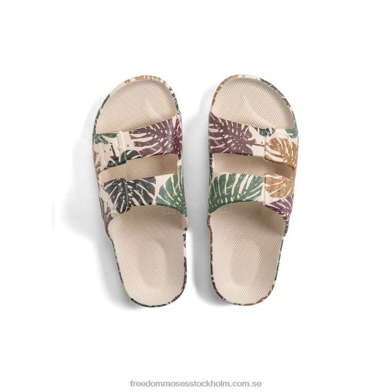 monstera 22JP696 Freedom Moses