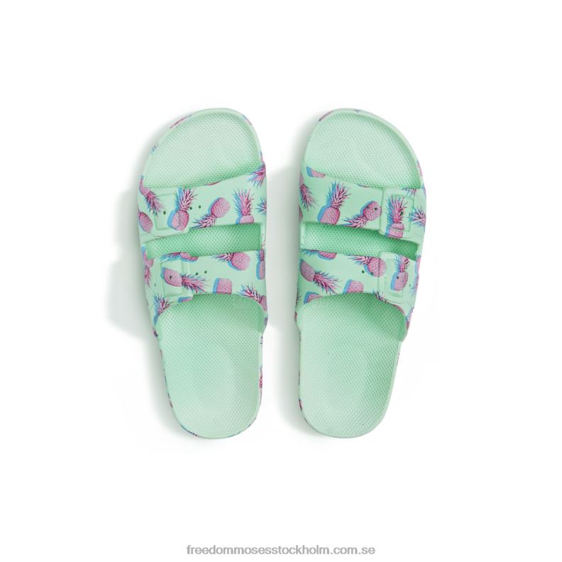 pina colada mynta 22JP6120 Freedom Moses