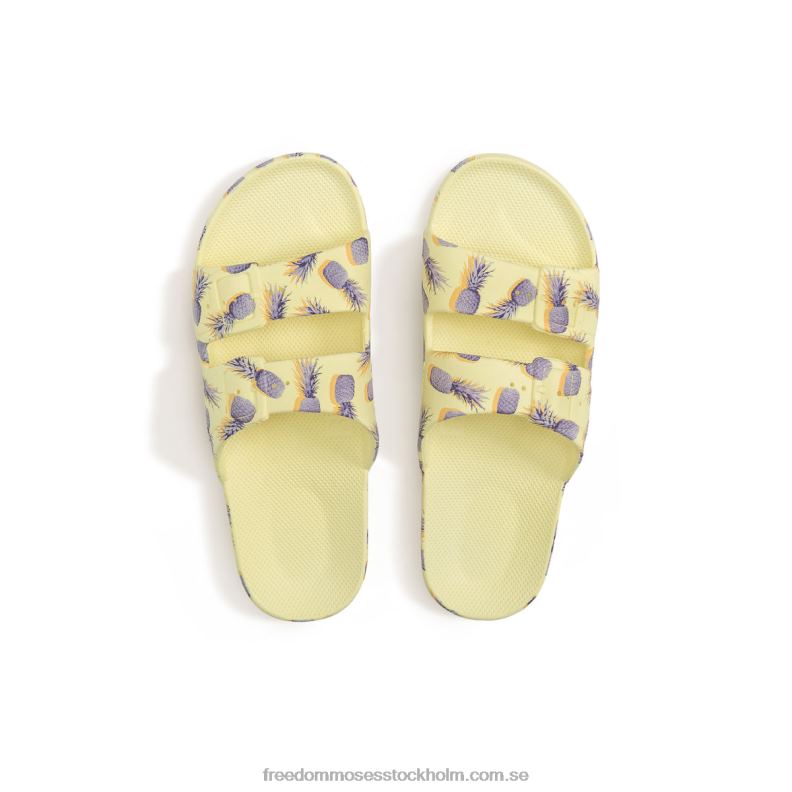 pina colada socker 22JP6124 Freedom Moses