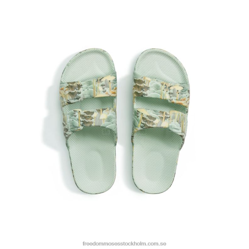 svampsalvia 22JP6118 Freedom Moses